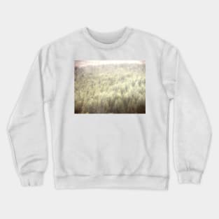 Pine Forest from Above Crewneck Sweatshirt